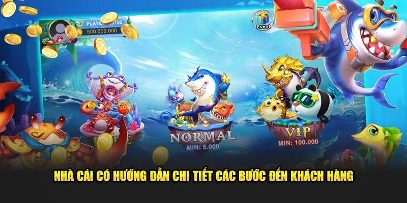 Nhà cái có hướng dẫn chi tiết các bước đến khách hàng