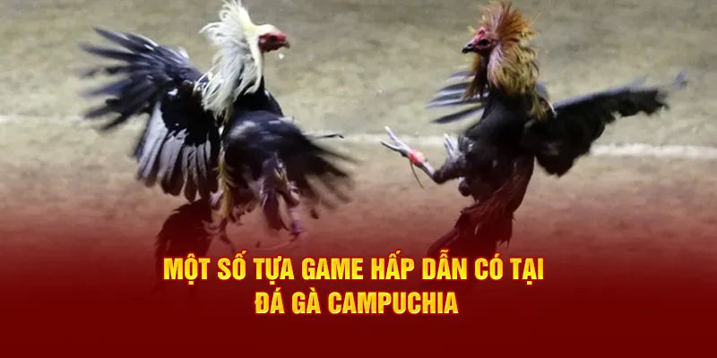 Một số tựa game hấp dẫn có tại đá gà Campuchia